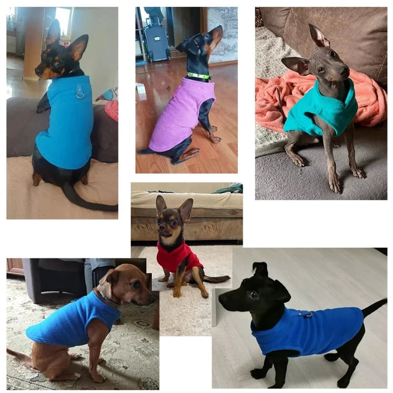 Chaleco Acogedor de Invierno para Mascotas™