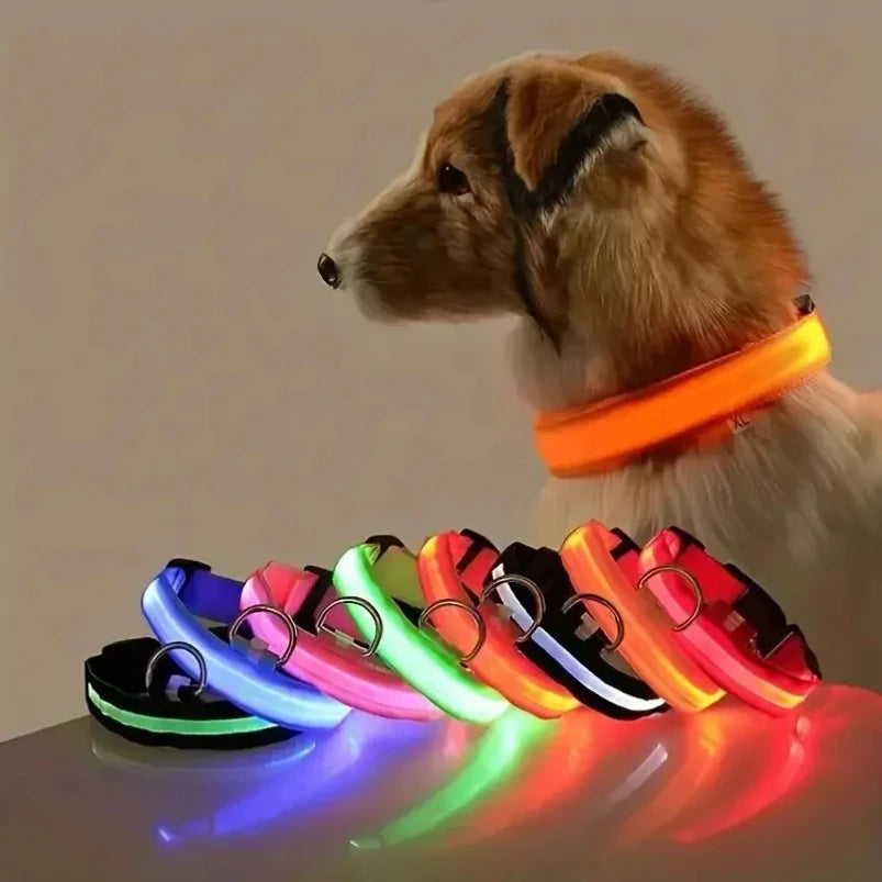 Correa Luminoso para Perros™